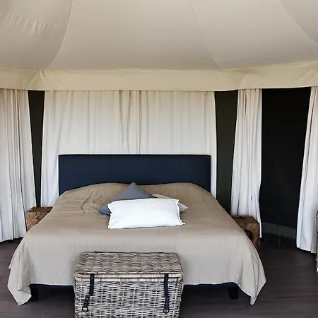 Fields - Camping *
